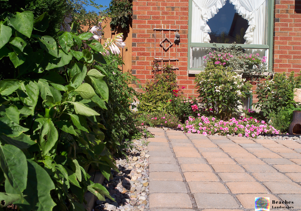 From our portfolio - check out our landscaping work in Manly