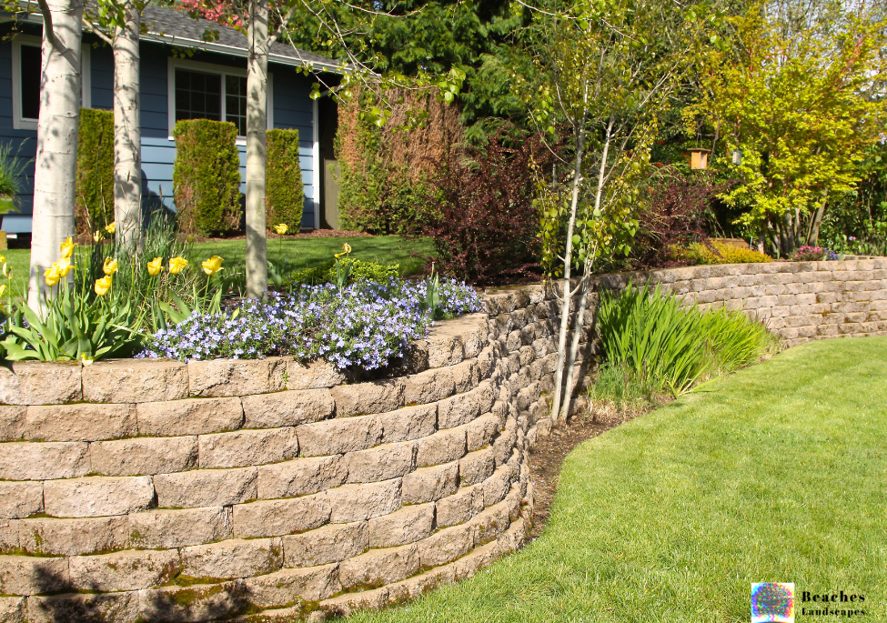 From our portfolio - check out our landscaping work in Mona Vale