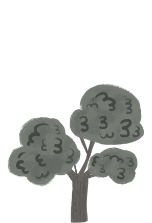 Northern Beaches Landscaping Group