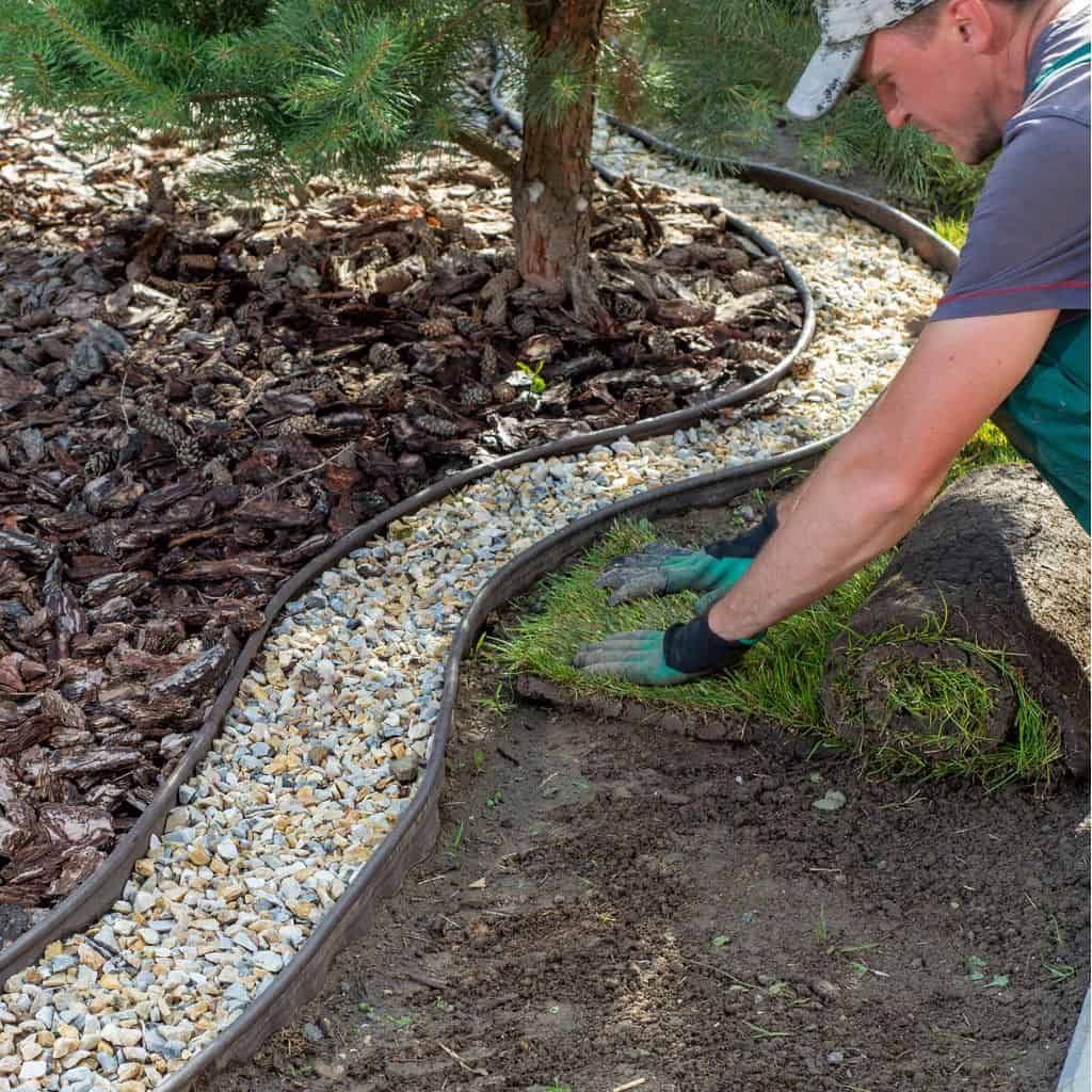 Landscaper installing turf beside a curved metal garden edge with pebble mulch around a tree