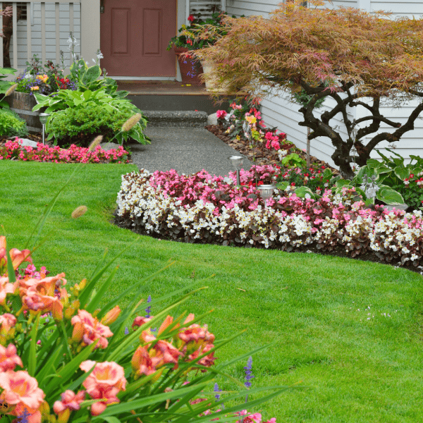 Turf installation service - Northern Beaches