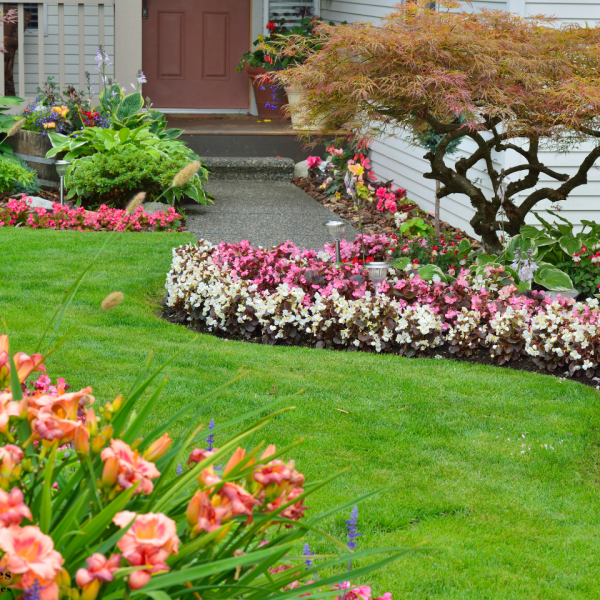Garden Maintenance - Our Services